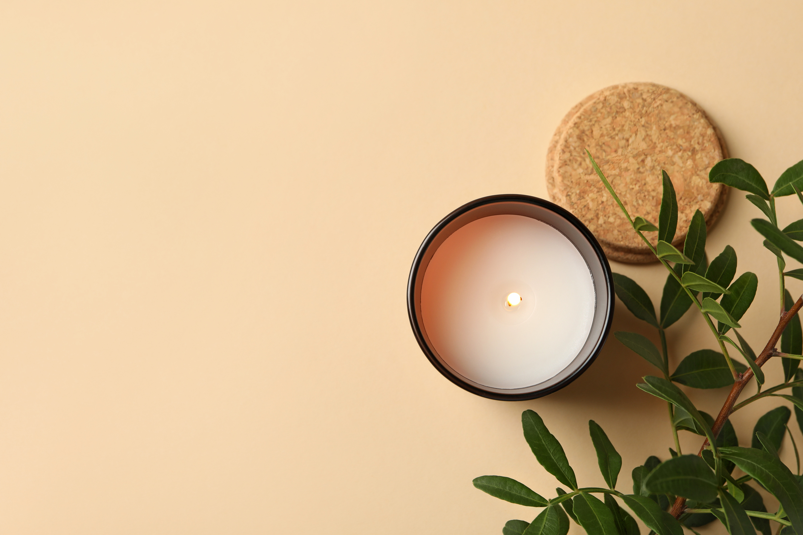 Scented Candle and Plant Branch on Beige Background